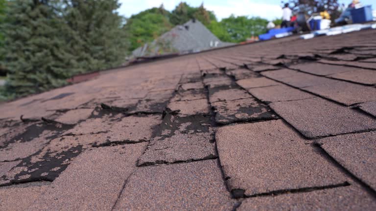 Best Wood Shake Roofing  in Elk Grove, CA