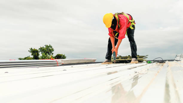 Best Gutter Installation and Repair  in Elk Grove, CA